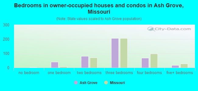 Bedrooms in owner-occupied houses and condos in Ash Grove, Missouri