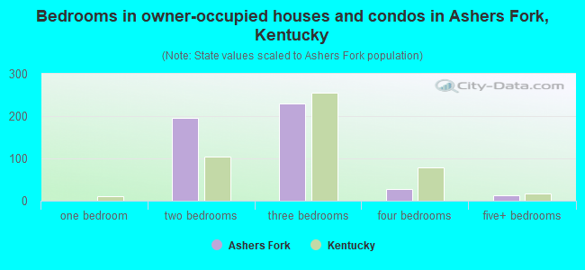 Bedrooms in owner-occupied houses and condos in Ashers Fork, Kentucky