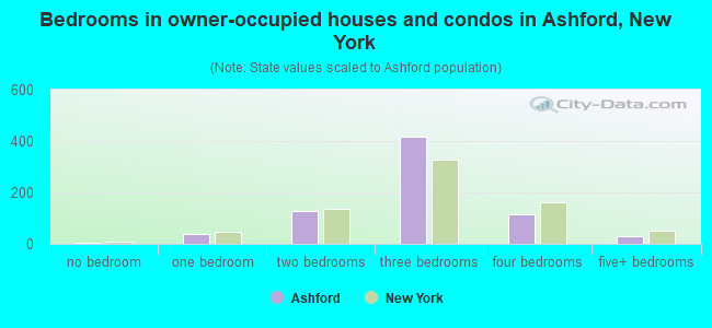 Bedrooms in owner-occupied houses and condos in Ashford, New York