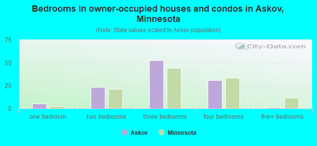 Bedrooms in owner-occupied houses and condos in Askov, Minnesota