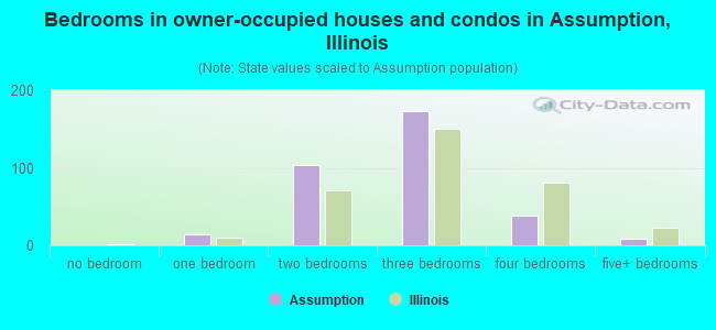 Bedrooms in owner-occupied houses and condos in Assumption, Illinois