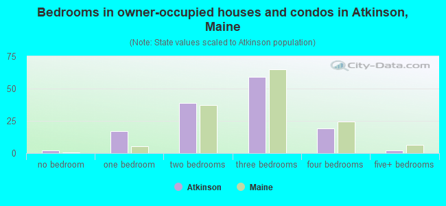 Bedrooms in owner-occupied houses and condos in Atkinson, Maine