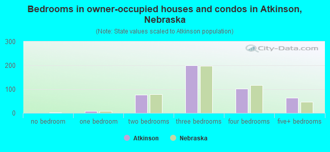 Bedrooms in owner-occupied houses and condos in Atkinson, Nebraska