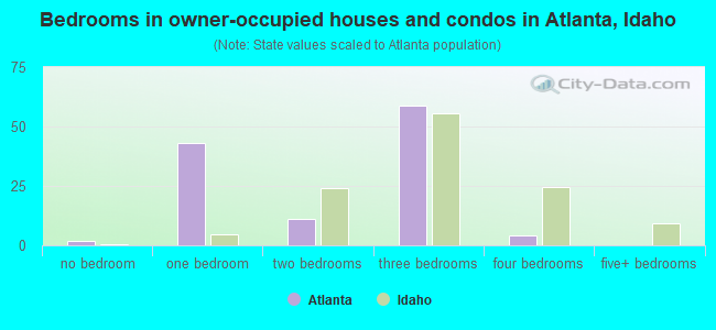 Bedrooms in owner-occupied houses and condos in Atlanta, Idaho