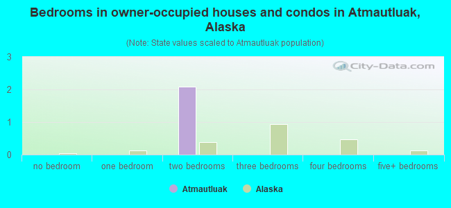 Bedrooms in owner-occupied houses and condos in Atmautluak, Alaska