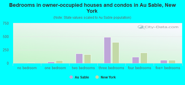 Bedrooms in owner-occupied houses and condos in Au Sable, New York