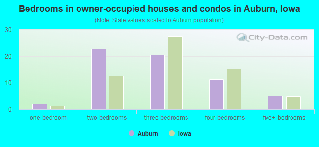 Bedrooms in owner-occupied houses and condos in Auburn, Iowa