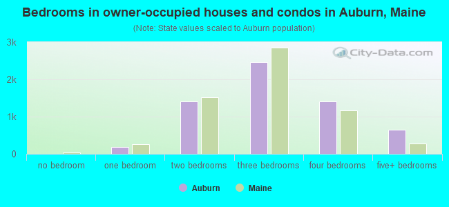 Bedrooms in owner-occupied houses and condos in Auburn, Maine