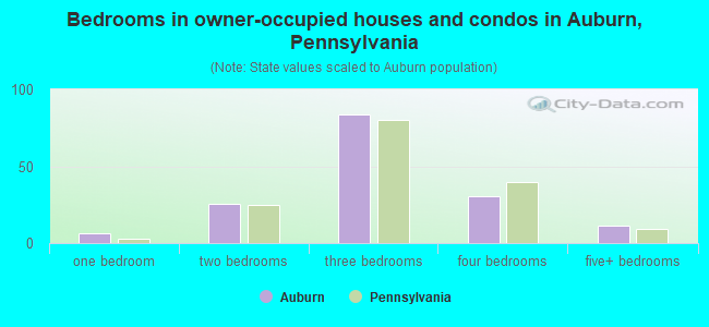 Bedrooms in owner-occupied houses and condos in Auburn, Pennsylvania