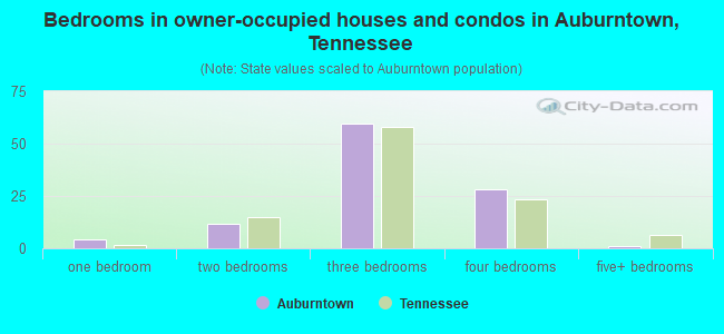 Bedrooms in owner-occupied houses and condos in Auburntown, Tennessee