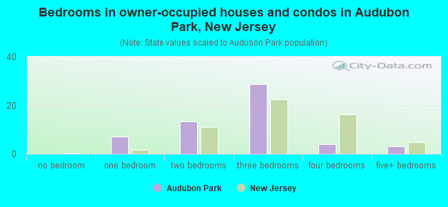 Bedrooms in owner-occupied houses and condos in Audubon Park, New Jersey