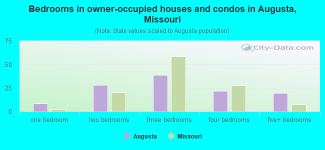 Bedrooms in owner-occupied houses and condos in Augusta, Missouri
