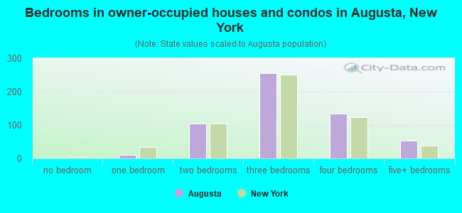 Bedrooms in owner-occupied houses and condos in Augusta, New York