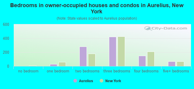 Bedrooms in owner-occupied houses and condos in Aurelius, New York