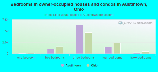 Bedrooms in owner-occupied houses and condos in Austintown, Ohio