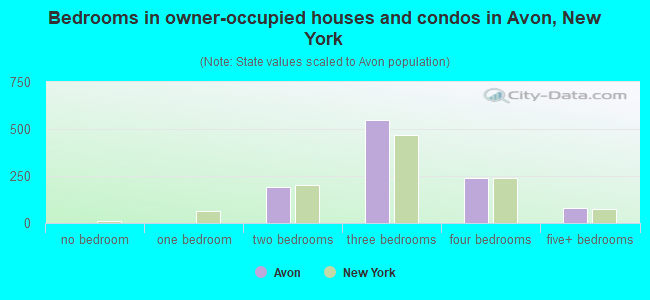 Bedrooms in owner-occupied houses and condos in Avon, New York