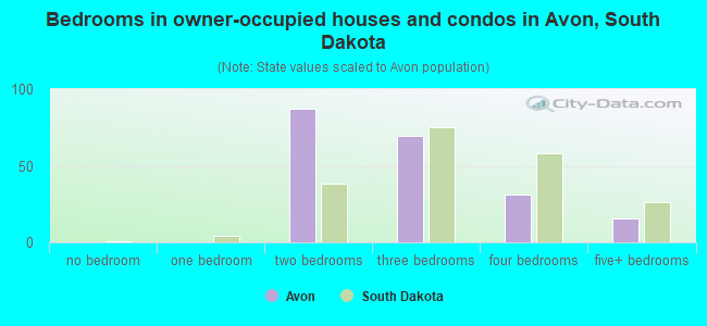 Bedrooms in owner-occupied houses and condos in Avon, South Dakota