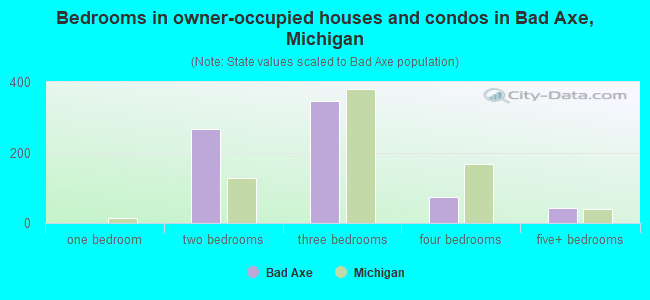 Bedrooms in owner-occupied houses and condos in Bad Axe, Michigan