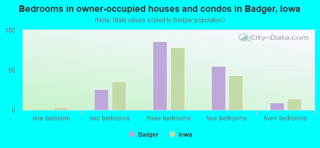 Bedrooms in owner-occupied houses and condos in Badger, Iowa