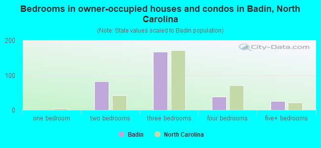 Bedrooms in owner-occupied houses and condos in Badin, North Carolina