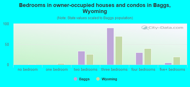 Bedrooms in owner-occupied houses and condos in Baggs, Wyoming