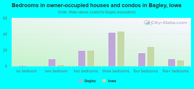 Bedrooms in owner-occupied houses and condos in Bagley, Iowa