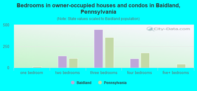 Bedrooms in owner-occupied houses and condos in Baidland, Pennsylvania