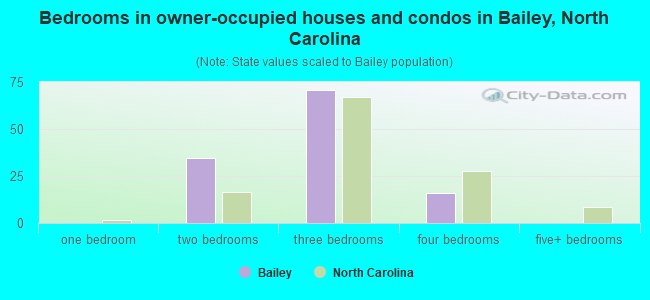 Bedrooms in owner-occupied houses and condos in Bailey, North Carolina