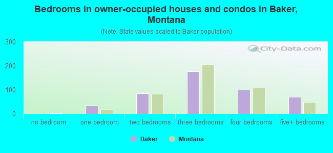 Bedrooms in owner-occupied houses and condos in Baker, Montana