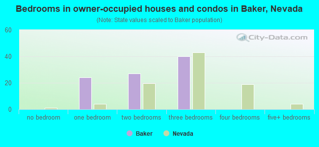 Bedrooms in owner-occupied houses and condos in Baker, Nevada