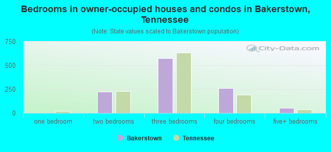 Bedrooms in owner-occupied houses and condos in Bakerstown, Tennessee