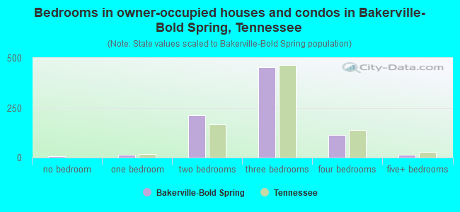 Bedrooms in owner-occupied houses and condos in Bakerville-Bold Spring, Tennessee