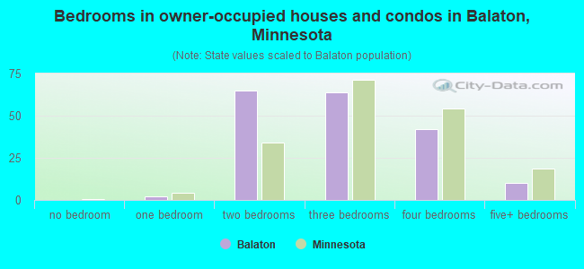 Bedrooms in owner-occupied houses and condos in Balaton, Minnesota