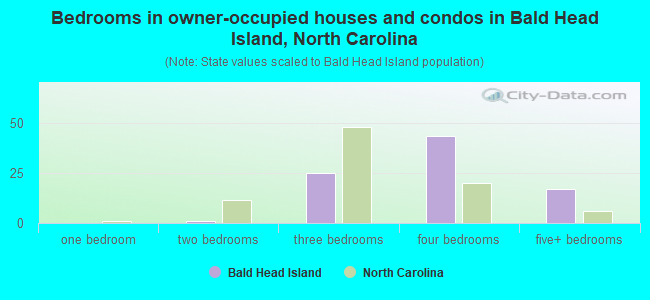 Bedrooms in owner-occupied houses and condos in Bald Head Island, North Carolina