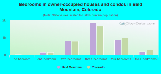 Bedrooms in owner-occupied houses and condos in Bald Mountain, Colorado
