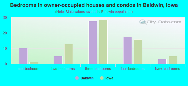 Bedrooms in owner-occupied houses and condos in Baldwin, Iowa