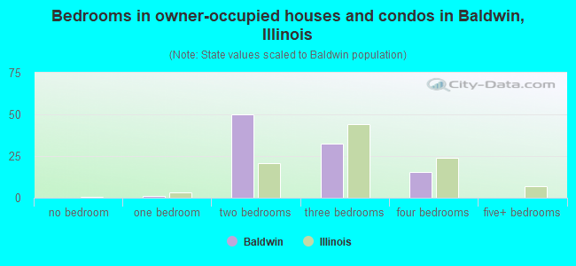 Bedrooms in owner-occupied houses and condos in Baldwin, Illinois