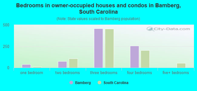 Bedrooms in owner-occupied houses and condos in Bamberg, South Carolina