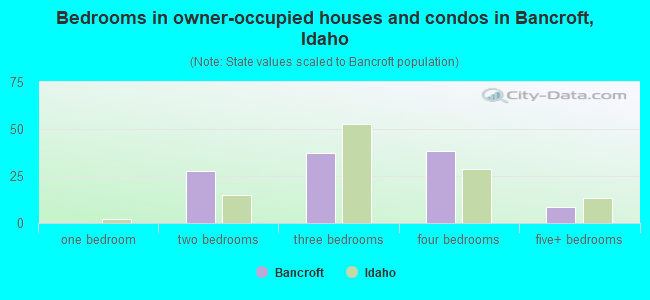 Bedrooms in owner-occupied houses and condos in Bancroft, Idaho