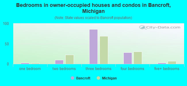 Bedrooms in owner-occupied houses and condos in Bancroft, Michigan