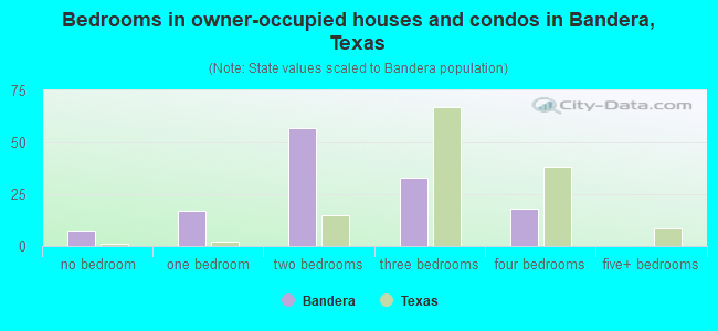 Bedrooms in owner-occupied houses and condos in Bandera, Texas