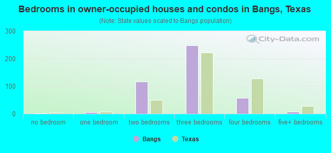 Bedrooms in owner-occupied houses and condos in Bangs, Texas