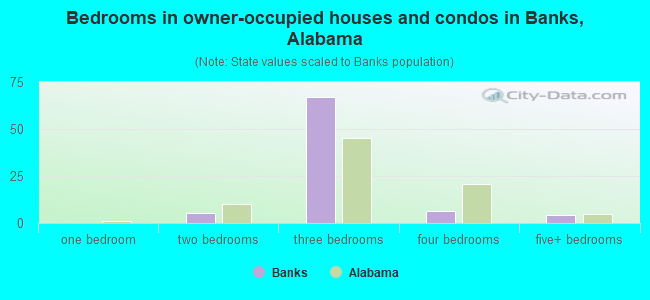 Bedrooms in owner-occupied houses and condos in Banks, Alabama