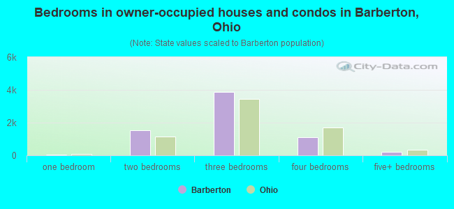 Bedrooms in owner-occupied houses and condos in Barberton, Ohio