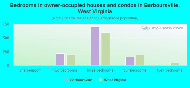 Bedrooms in owner-occupied houses and condos in Barboursville, West Virginia