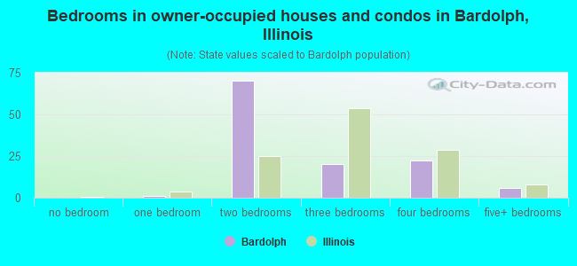 Bedrooms in owner-occupied houses and condos in Bardolph, Illinois