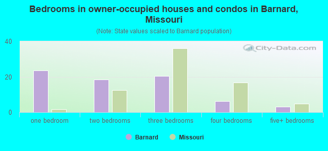 Bedrooms in owner-occupied houses and condos in Barnard, Missouri