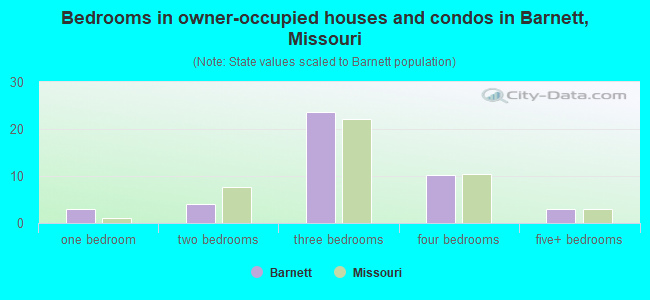 Bedrooms in owner-occupied houses and condos in Barnett, Missouri