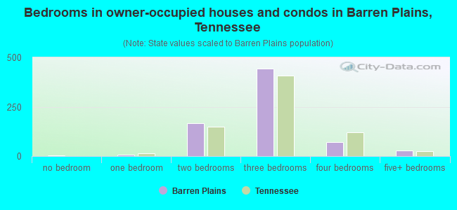 Bedrooms in owner-occupied houses and condos in Barren Plains, Tennessee