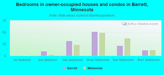 Bedrooms in owner-occupied houses and condos in Barrett, Minnesota